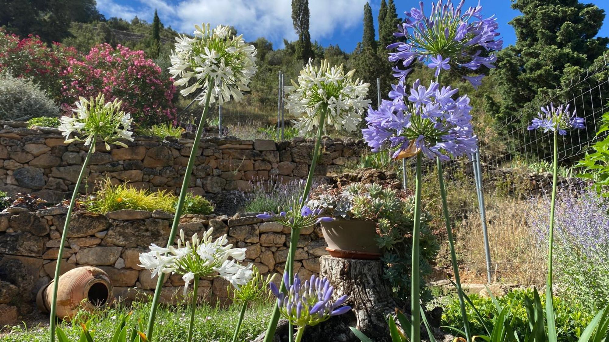 Apartamentos Casa Lola Rodeados De Montanas Y Rios Beceite Εξωτερικό φωτογραφία